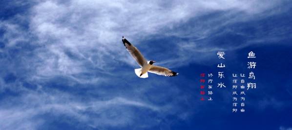 么好但不会像你想象得那么糟既然选择了无论好的还是糟的请坚持下去！PG麻将胡了试玩我的365天创业日记—创业永远不可能像你想象得那(图3)