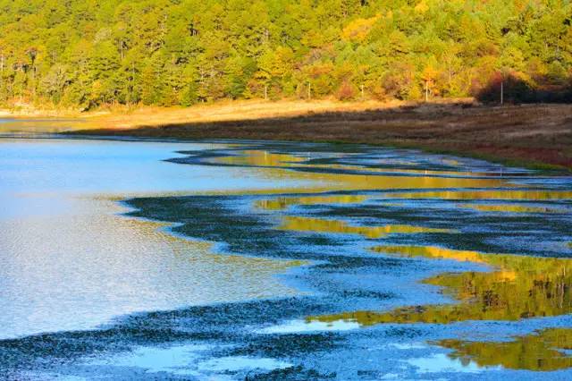 么好但不会像你想象得那么糟既然选择了无论好的还是糟的请坚持下去！PG麻将胡了试玩我的365天创业日记—创业永远不可能像你想象得那(图7)