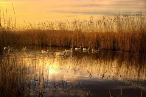 么好但不会像你想象得那么糟既然选择了无论好的还是糟的请坚持下去！PG麻将胡了试玩我的365天创业日记—创业永远不可能像你想象得那(图12)